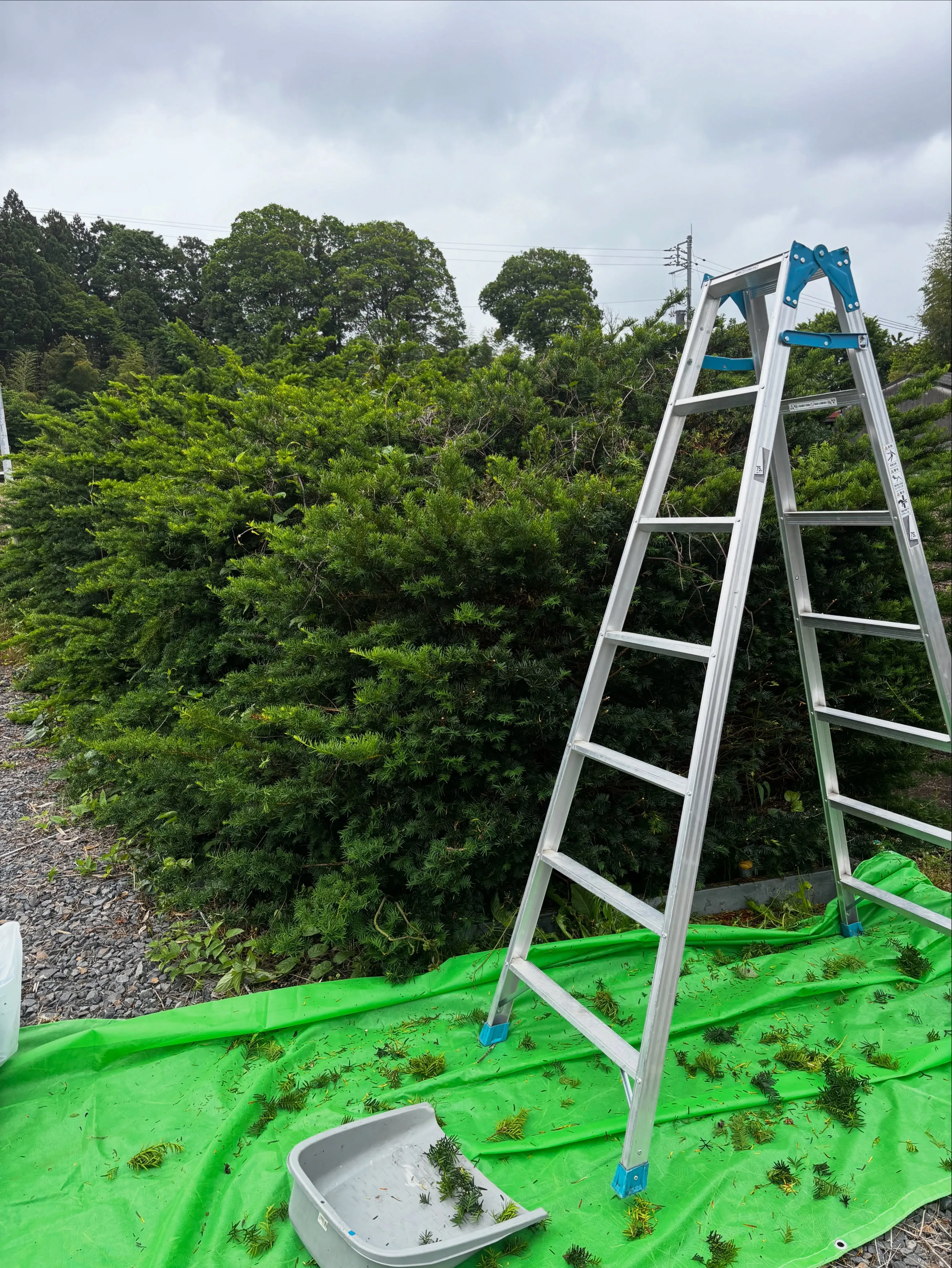 那須烏山市で昨日、エアコンクリーニングを行いました！知人の紹...