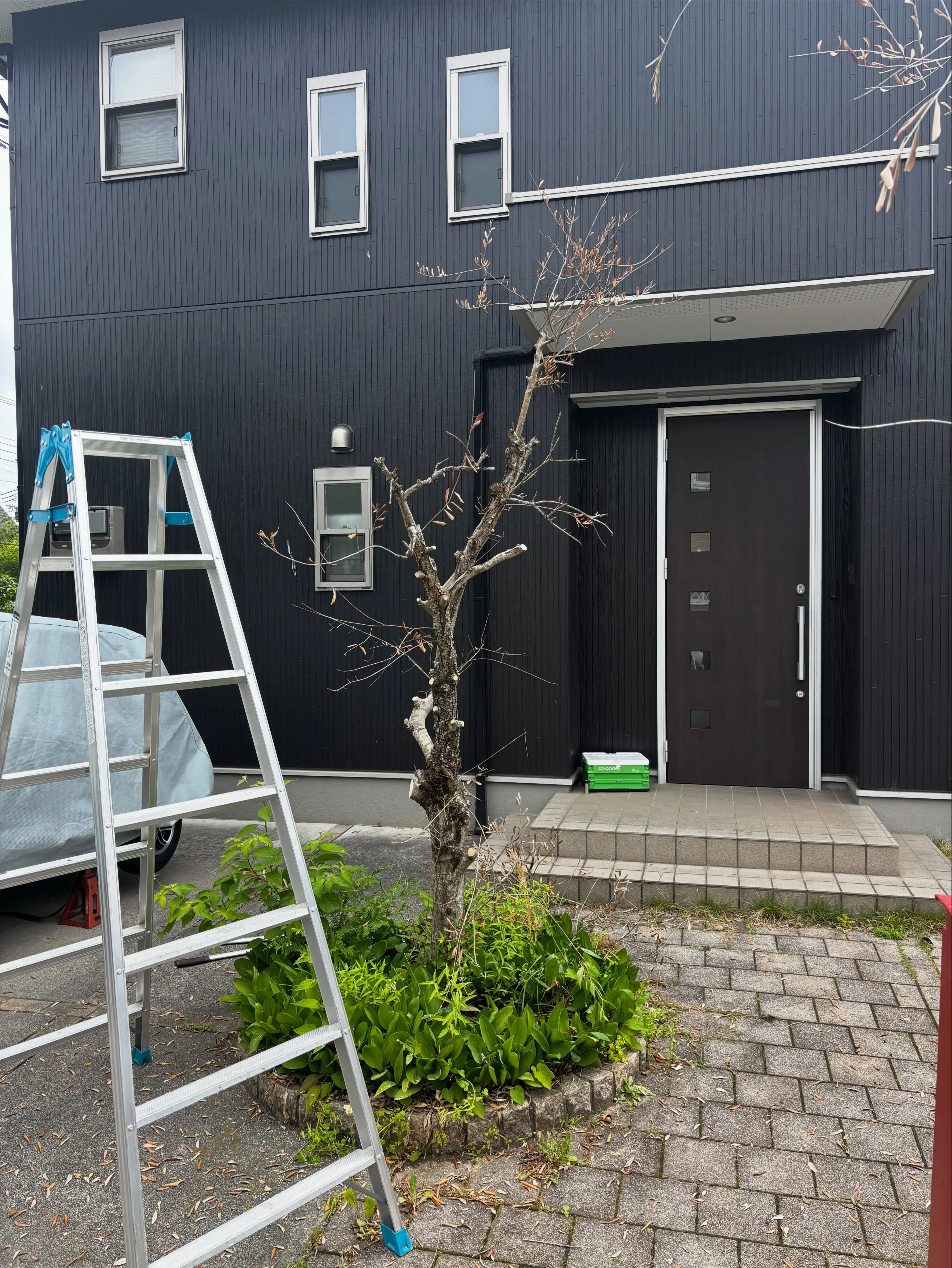 今日は栃木県宇都宮市で庭の手入れをしてきました。