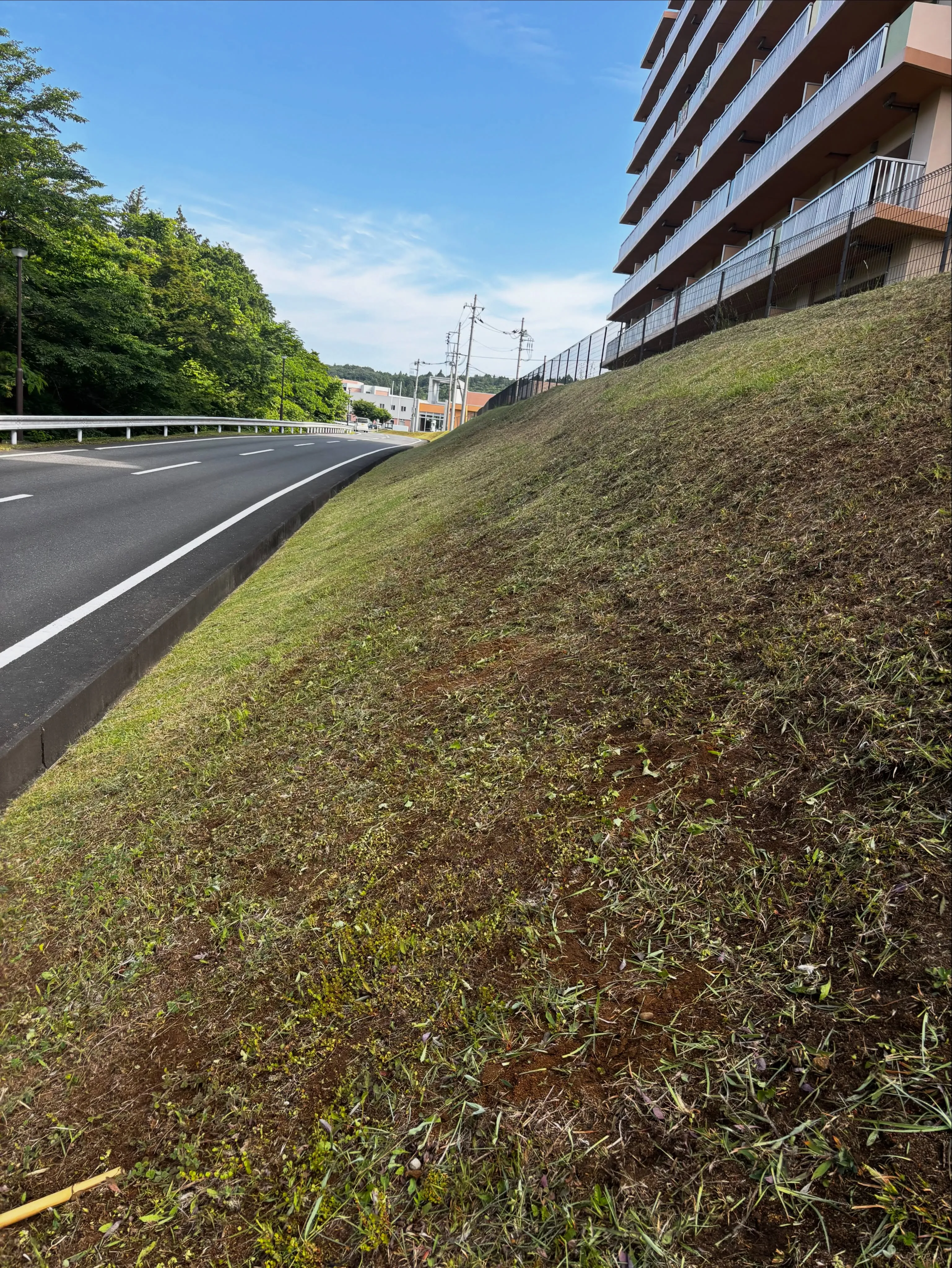 草刈りの季節ですね!