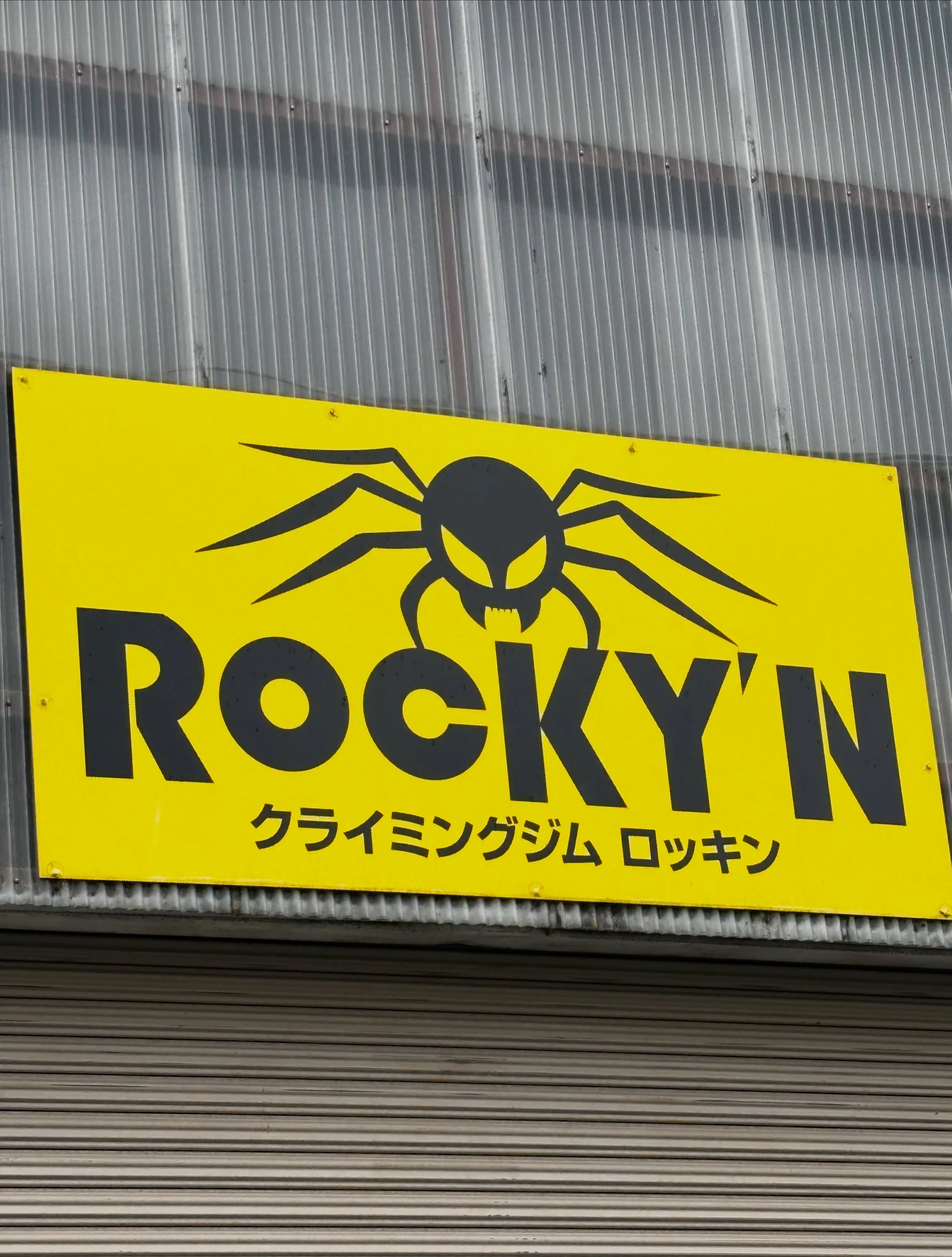 思わぬ発見が待っていました。