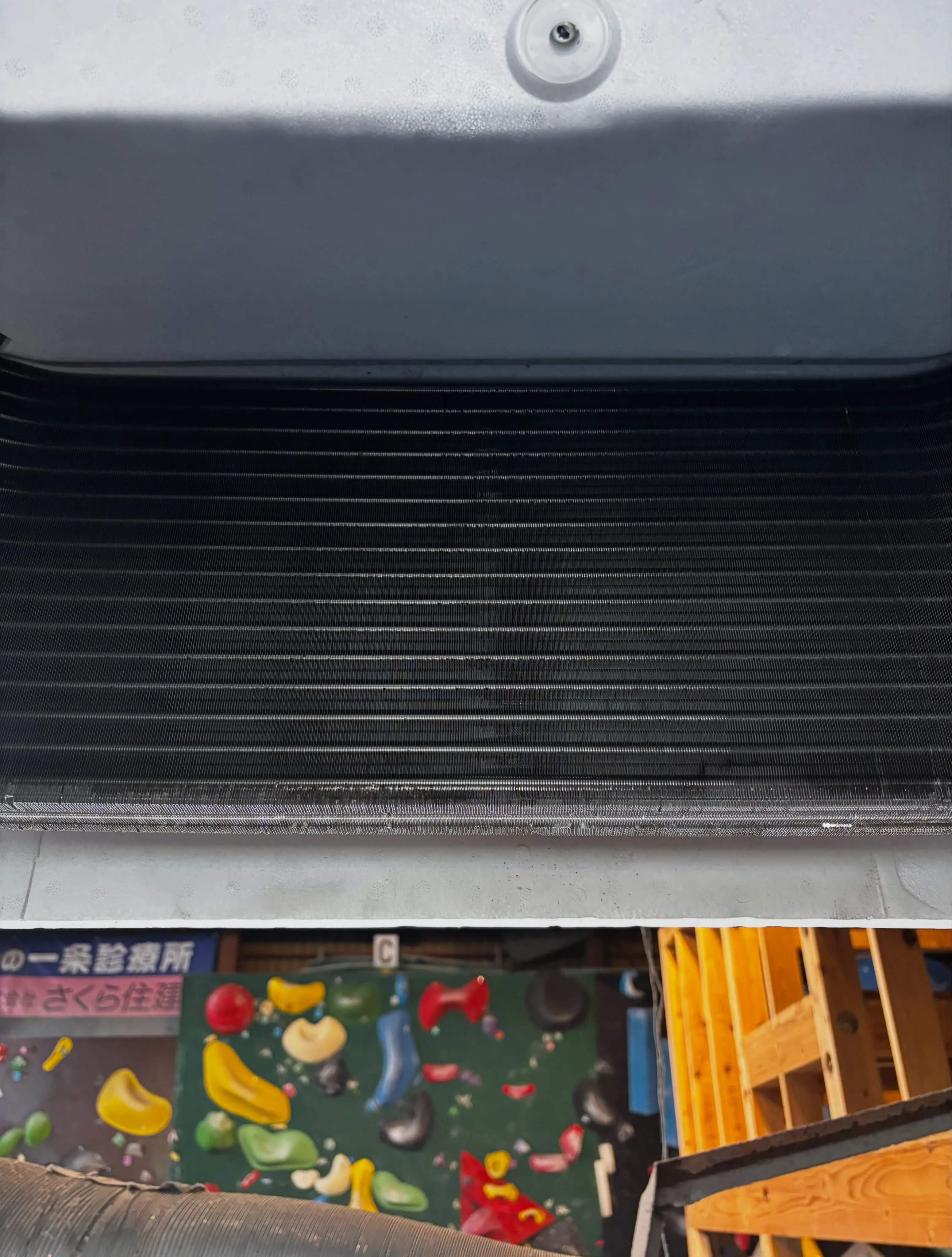 思わぬ発見が待っていました。