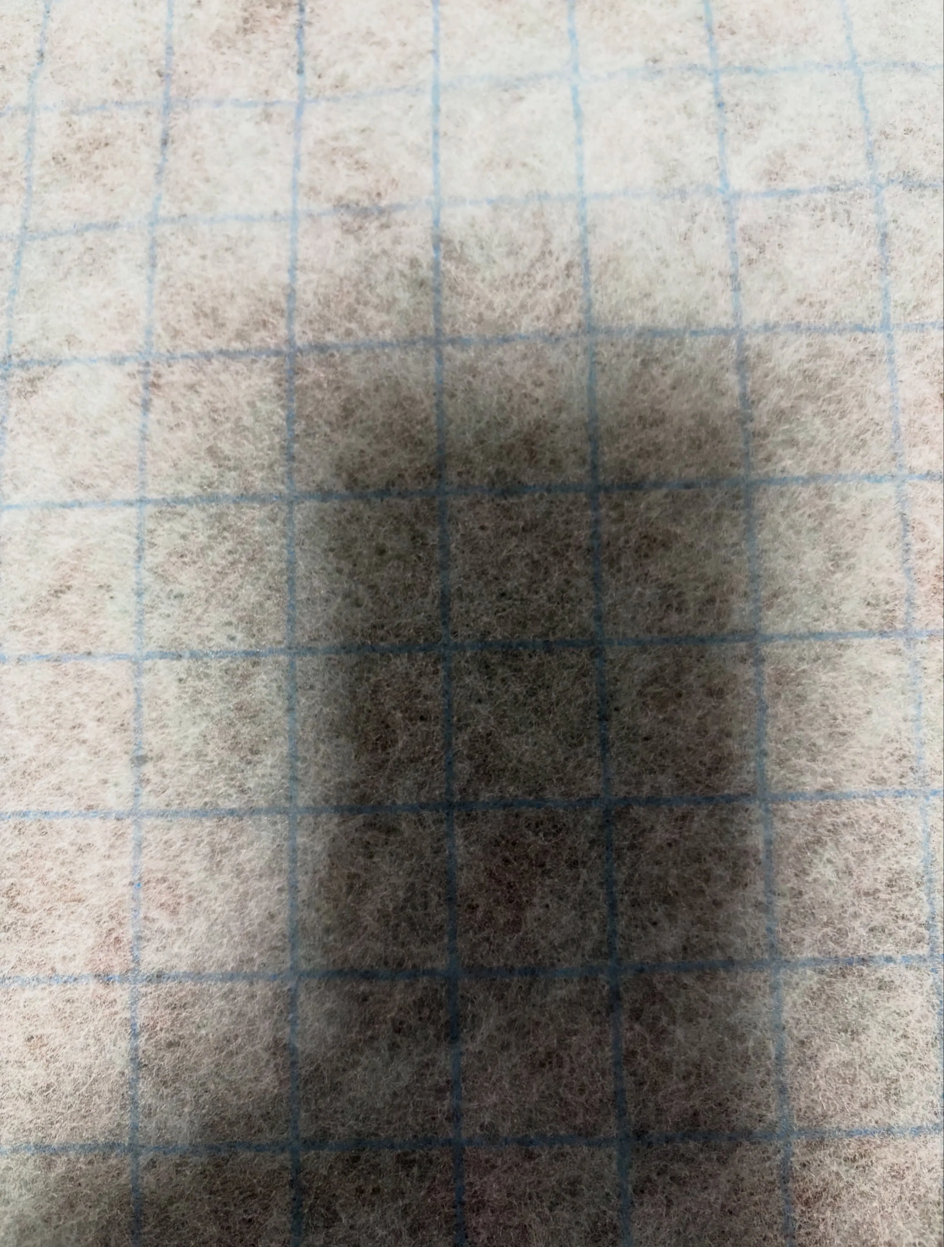 思わぬ発見が待っていました。