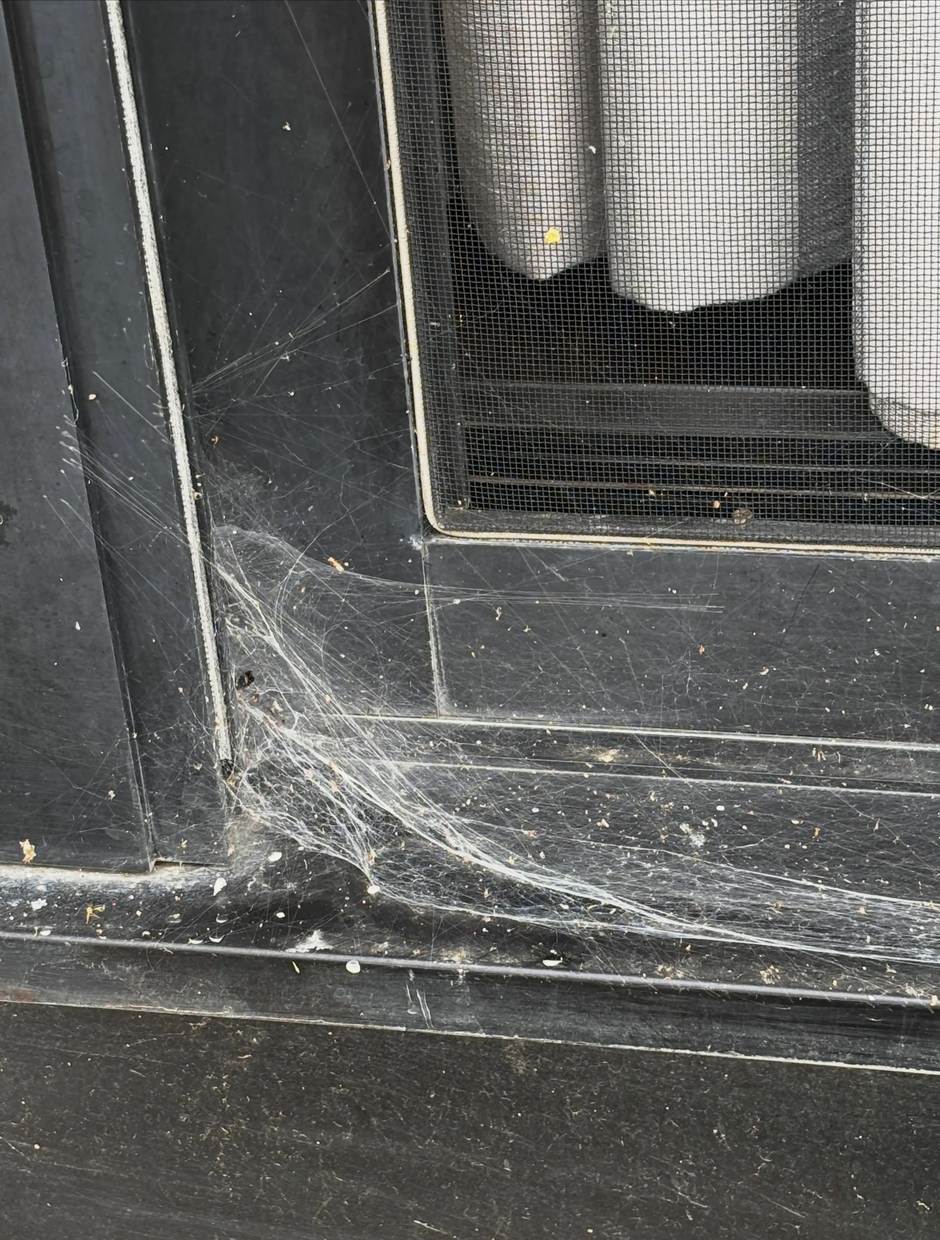 スパイダーガードが頼りになります。