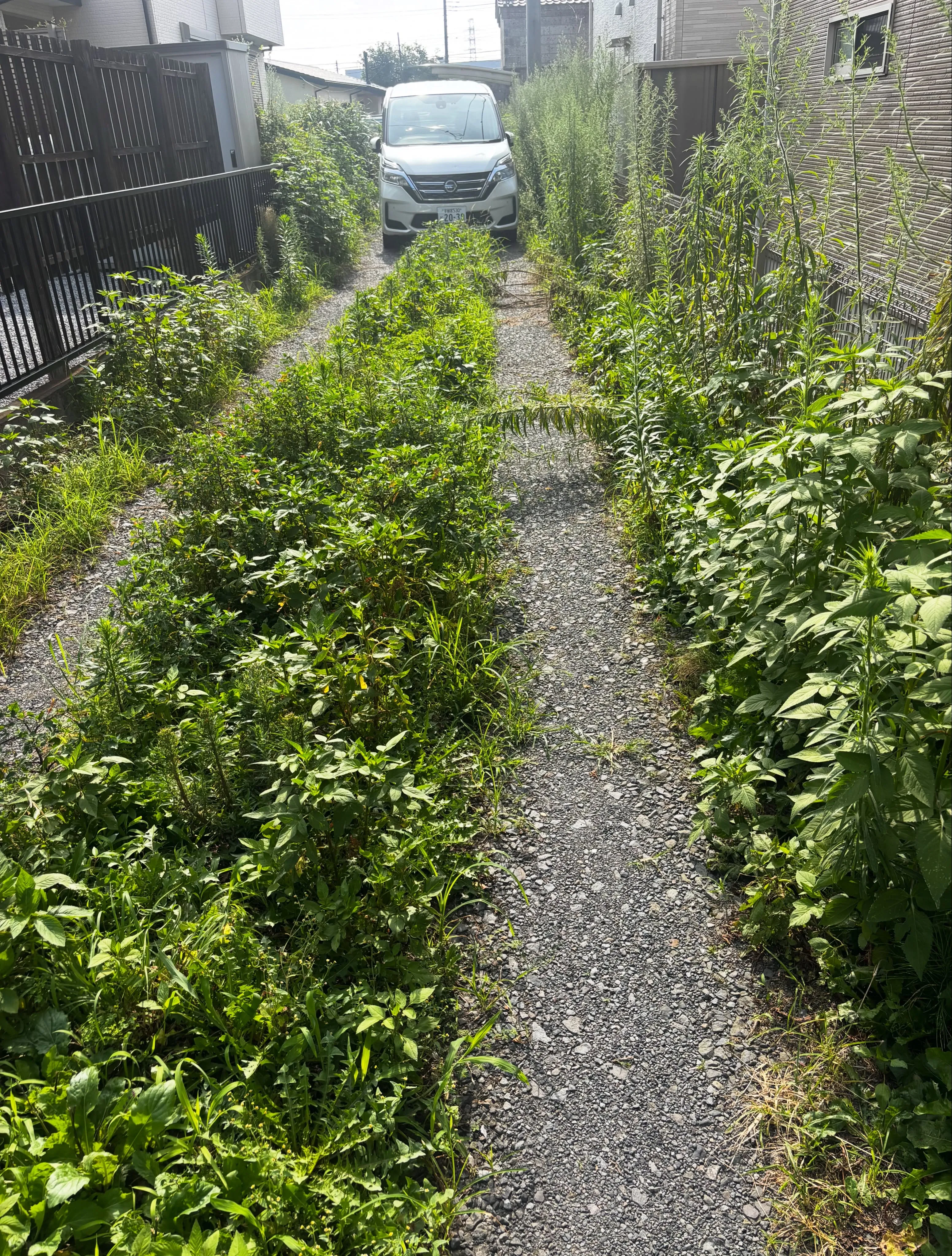 石橋地区で草刈りしてきました！笑