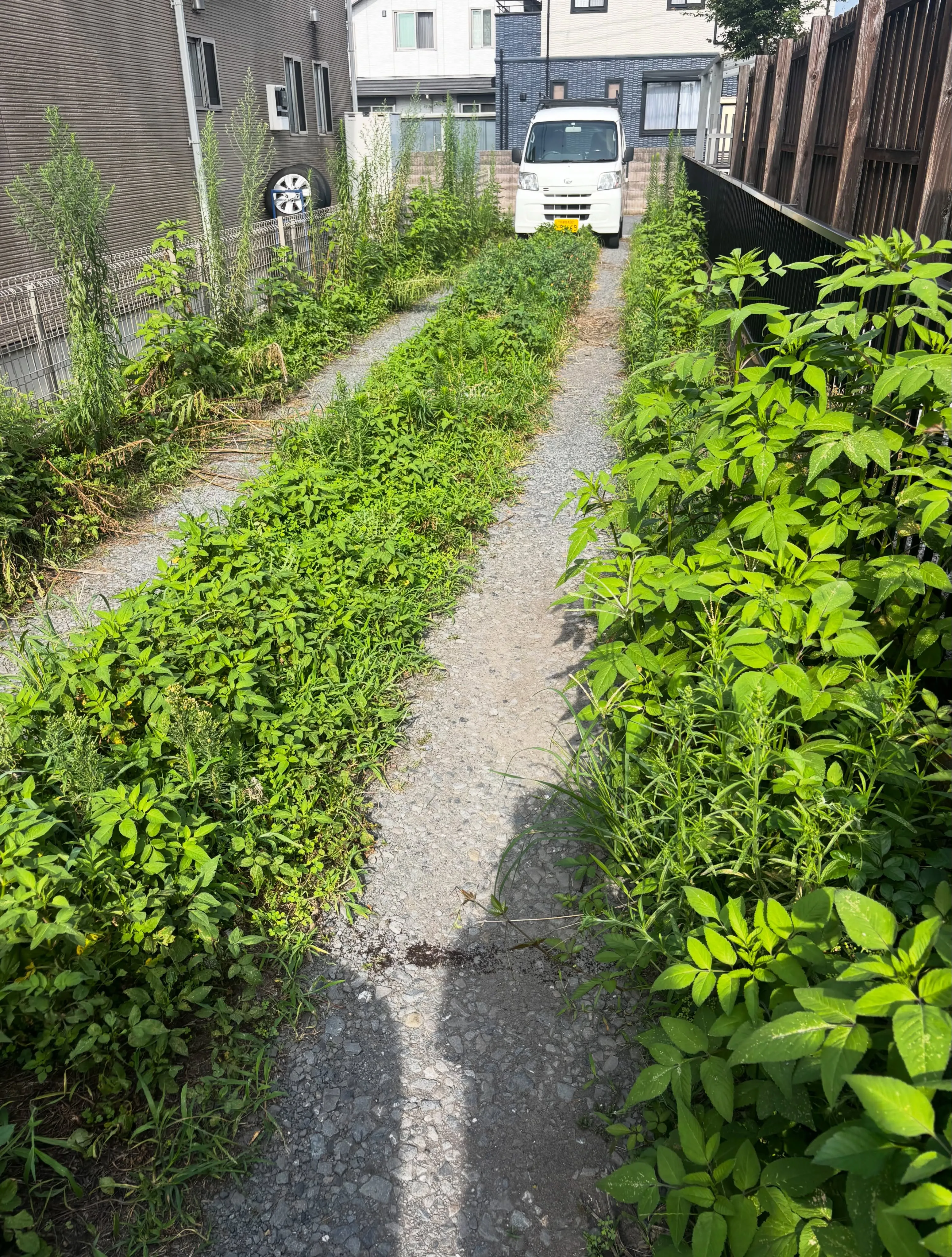 石橋地区で草刈りしてきました！笑