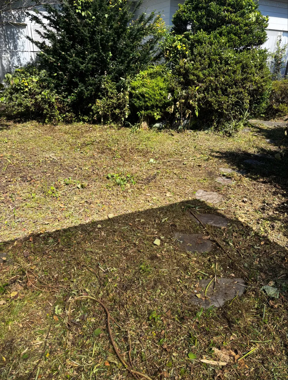 本日は、日光市のお客様のご依頼で庭の草刈りを行いました。