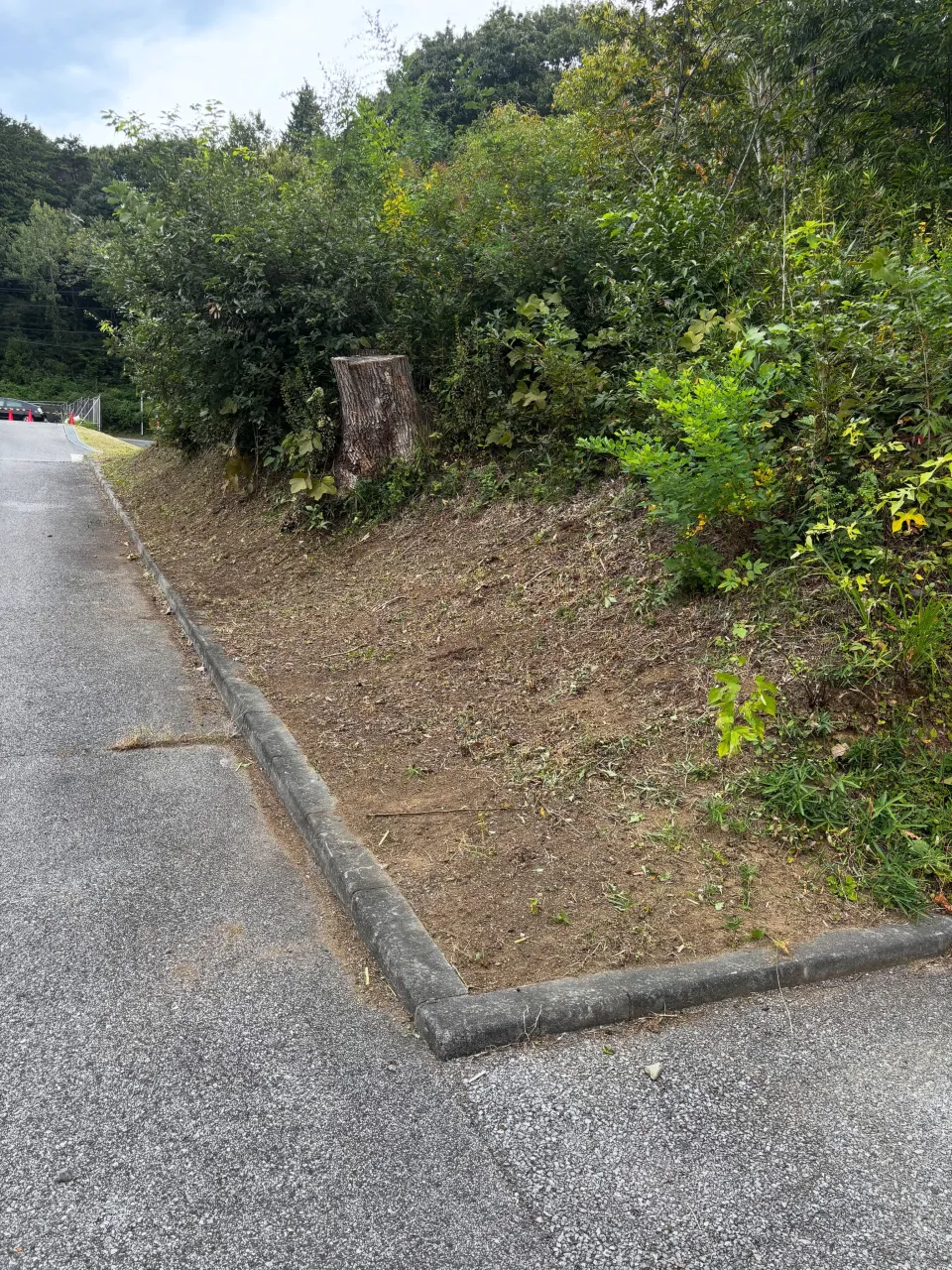 今週は喜連川町で草刈りウィークです！