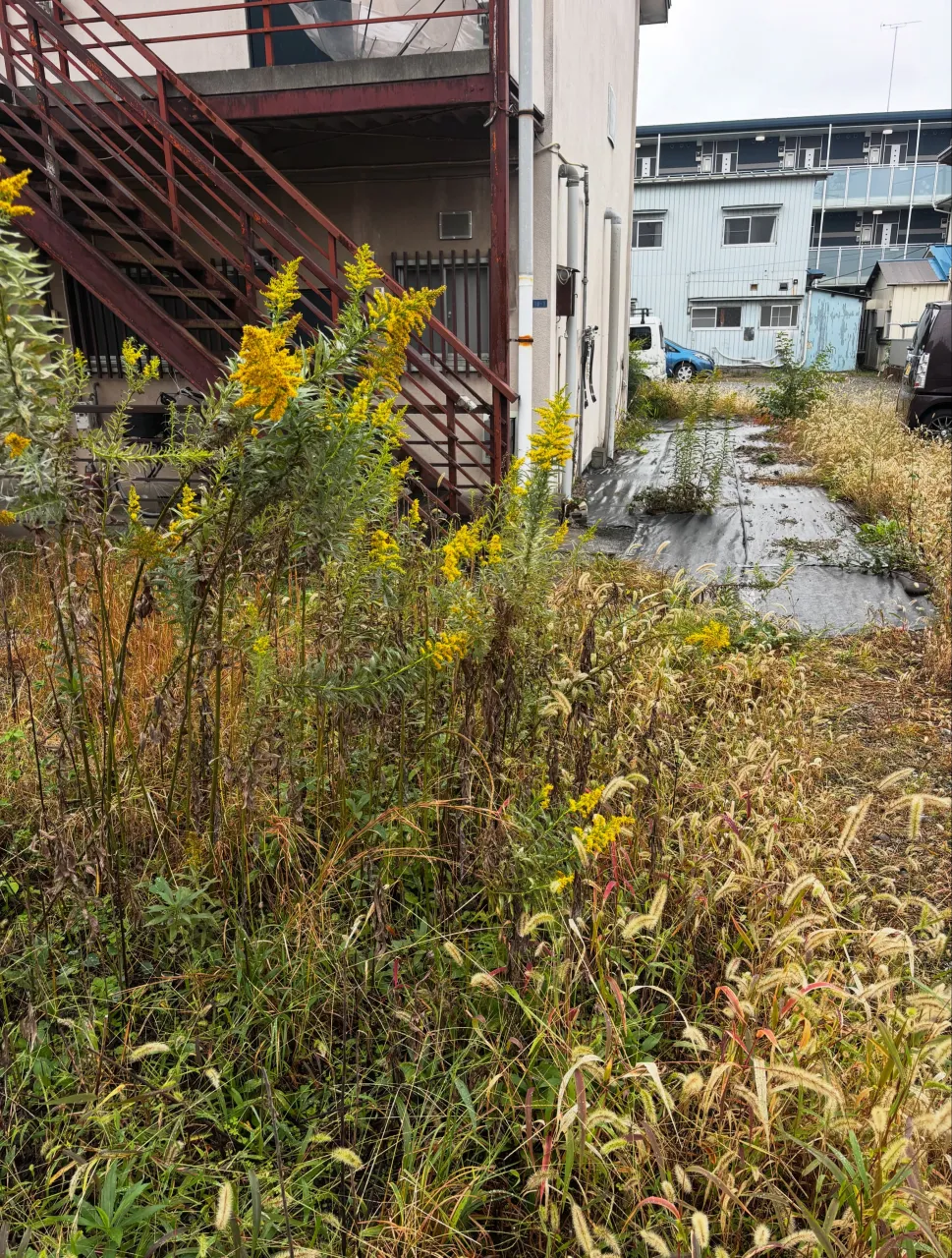 本日はお得意様のご依頼により、宇都宮市で草刈りをしてまいりま...